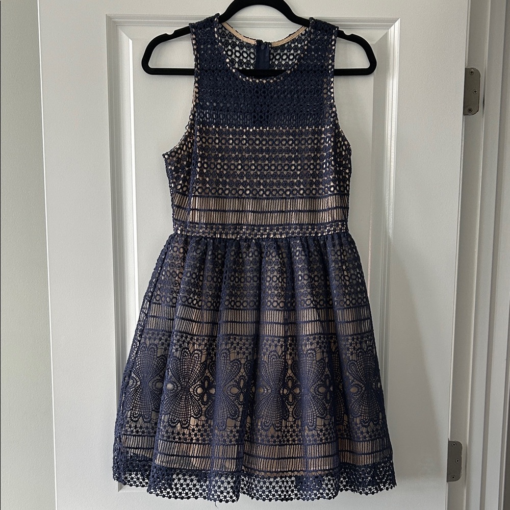 Francesca's Collections Navy and Beige Lace Dress